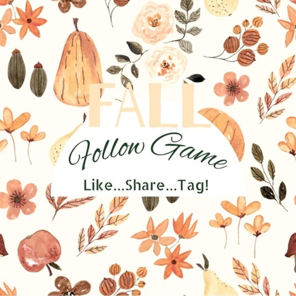 ✨FOLLOW / ADDING GAME (Fall)✨